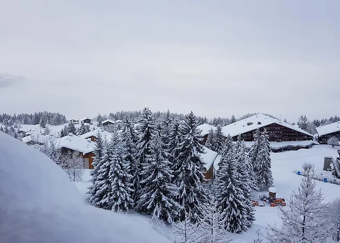 Zodiaque Ξενοδοχείο